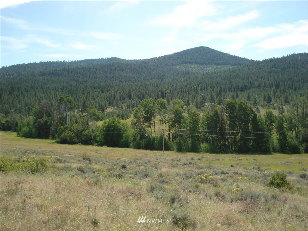 -east EAST Crosswinds Road Tonasket, WA 98855 - Photo 3 of 7 Gallery Image 3