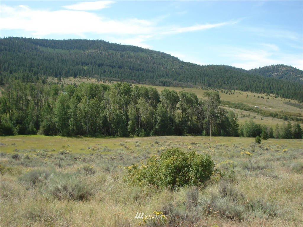 -east EAST Crosswinds Road Tonasket, WA 98855 - Photo 4 of 7 Gallery Image 4