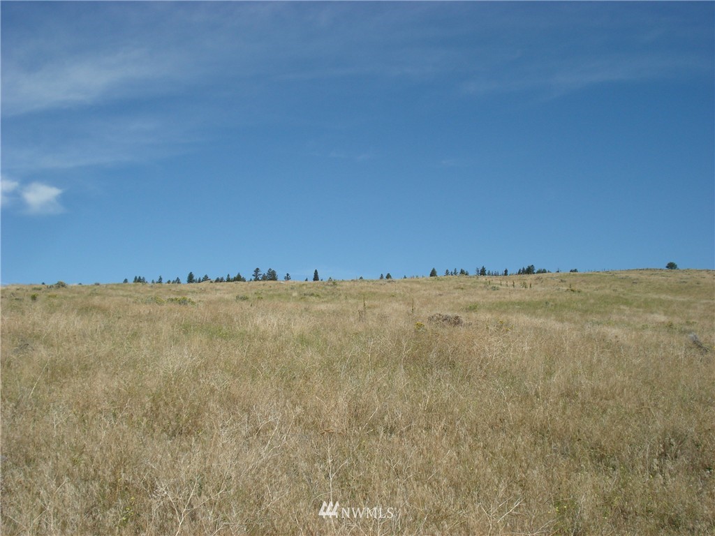 -east EAST Crosswinds Road Tonasket, WA 98855 - Photo 6 of 7 Gallery Image 6