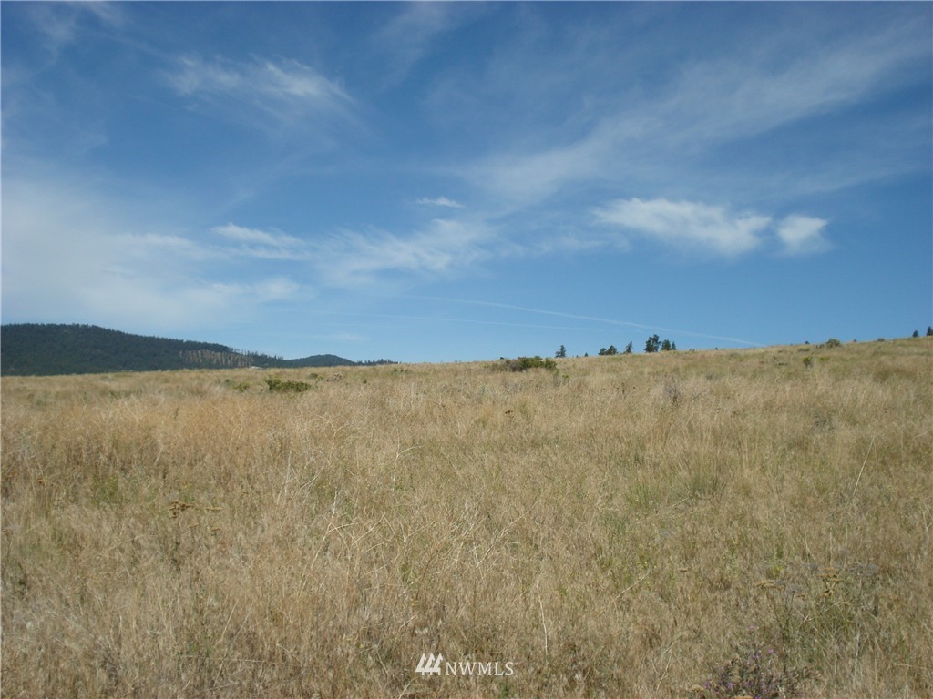 -east EAST Crosswinds Road Tonasket, WA 98855 - Photo 7 of 7 Gallery Image 7