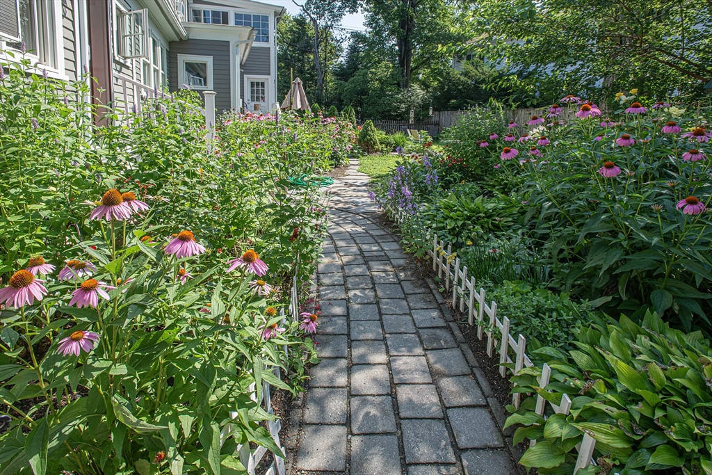 218 Elm Street Northampton, MA 01060 - Photo 4 of 42 a picture of flowers