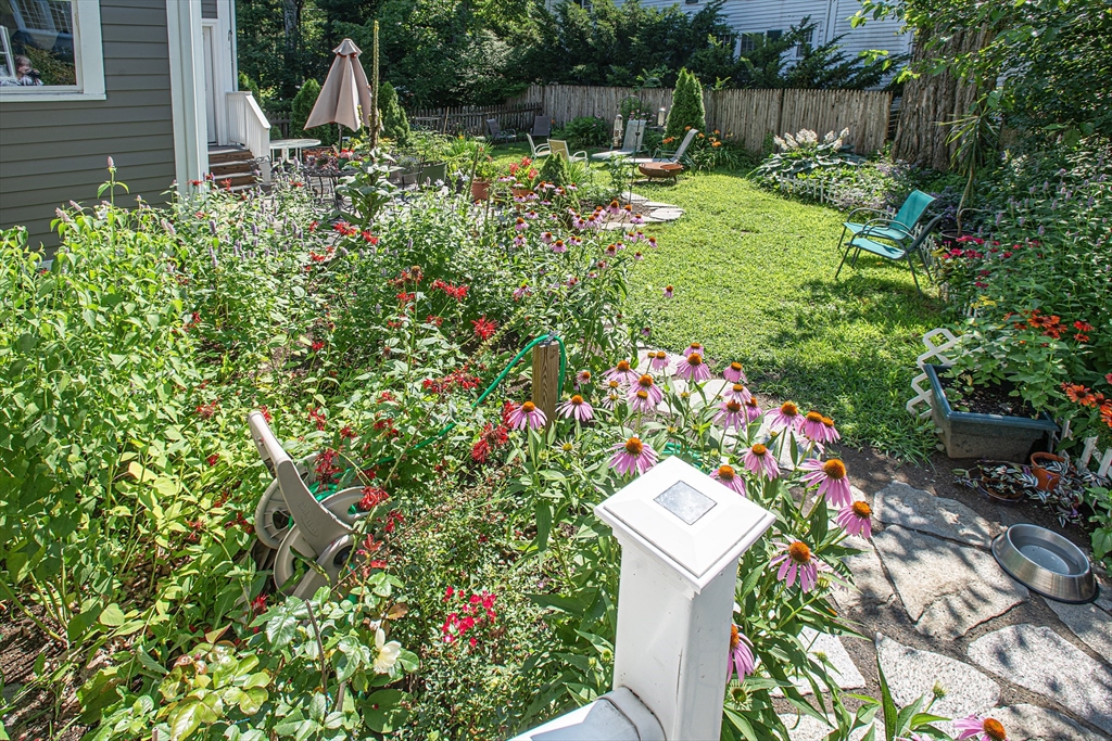 218 Elm Street Northampton, MA 01060 - Photo 5 of 42 a small garden with flowers and flowers