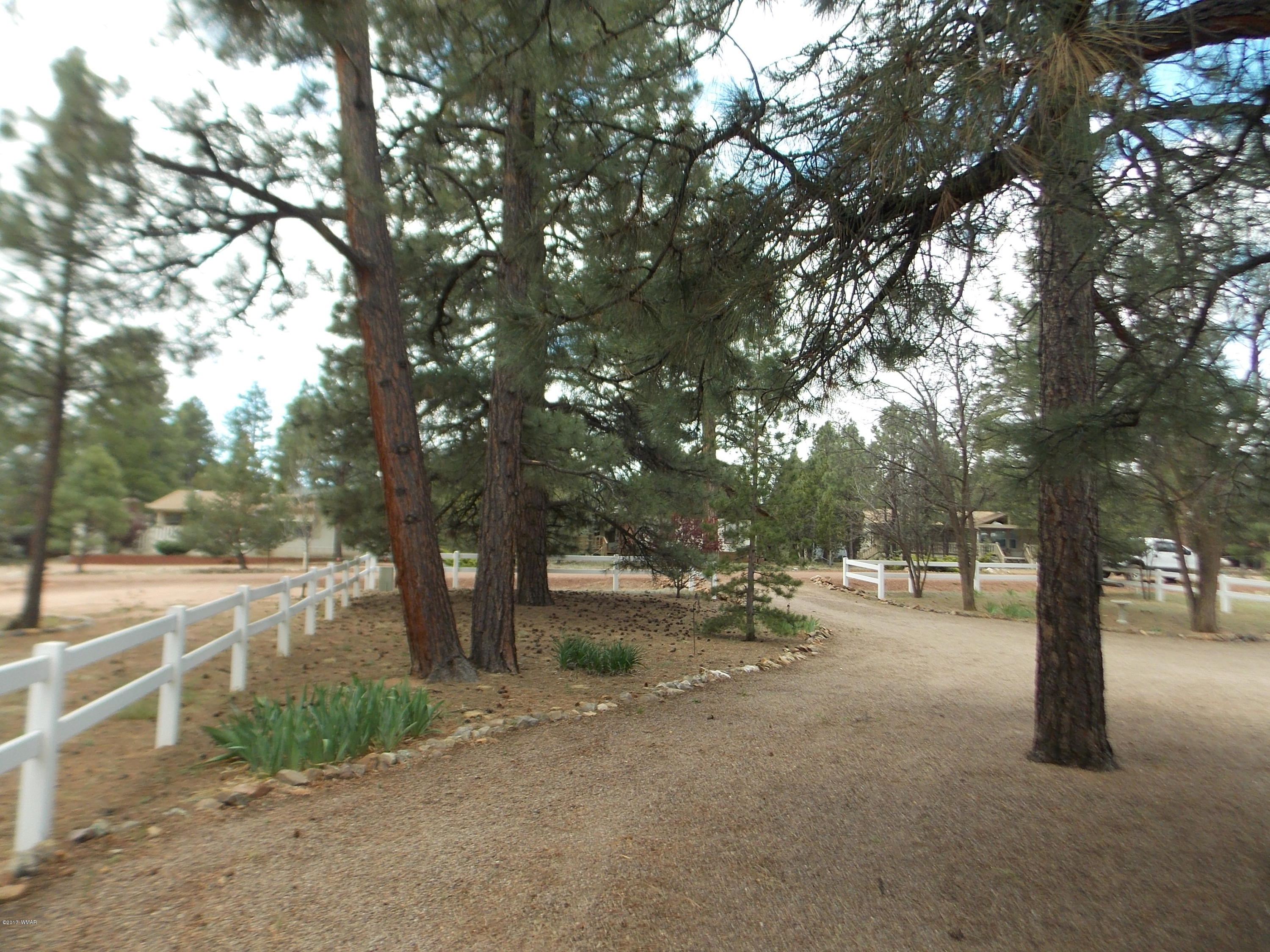 1978 Rustling Pine Drive Heber, AZ 85928 - Photo 19 of 21 a view of a forest with trees