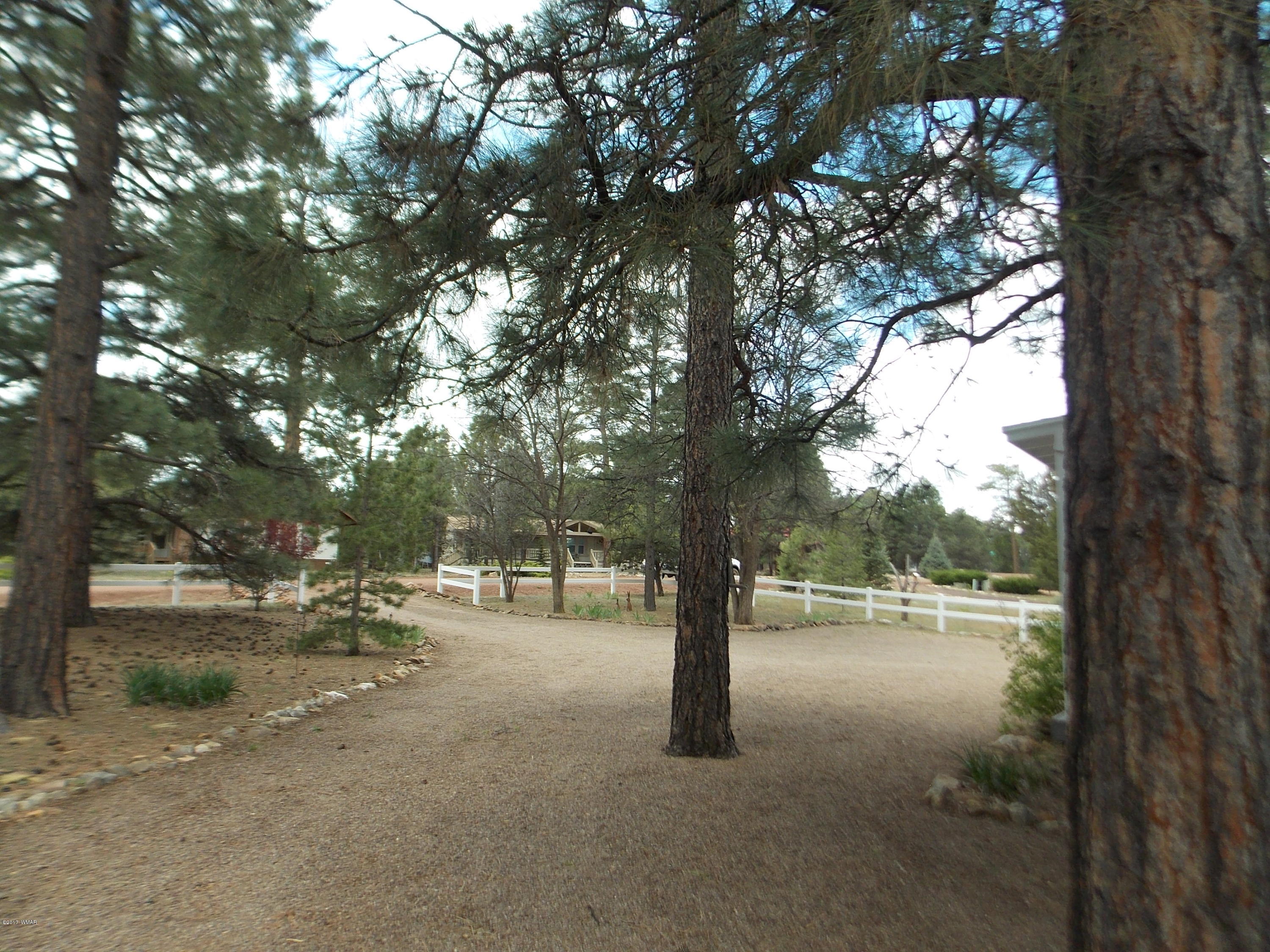 1978 Rustling Pine Drive Heber, AZ 85928 - Photo 20 of 21 a view of a tree in a yard