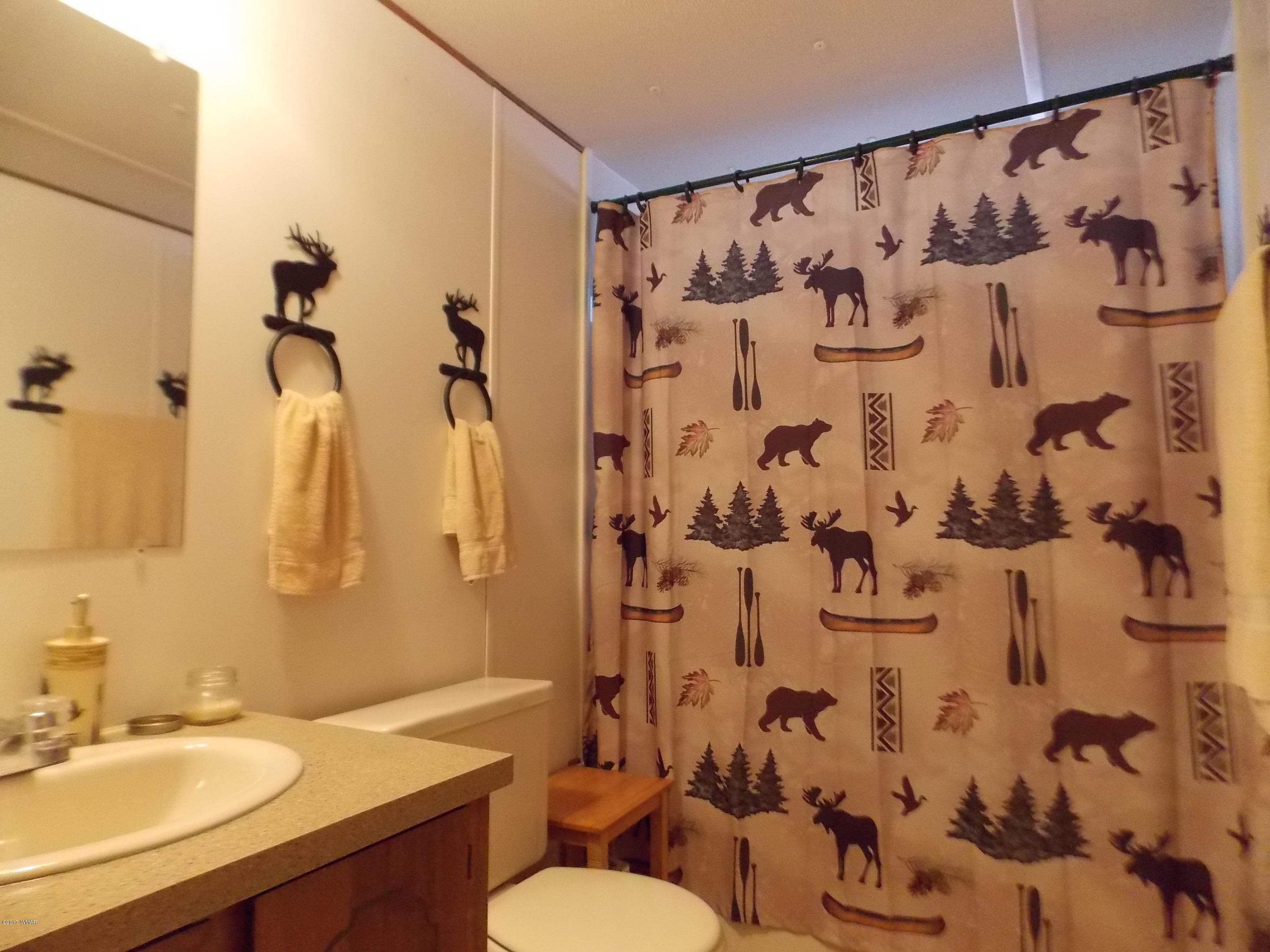 1978 Rustling Pine Drive Heber, AZ 85928 - Photo 10 of 21 a bathroom with a sink toilet and shower
