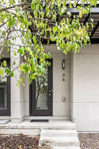 a plant in front of a door