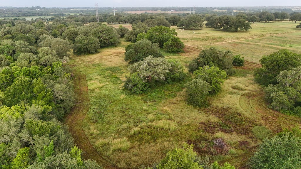 9365 Bauer Road Fayetteville, TX 78940 - Photo 13 of 16 a view of an outdoor space and a yard