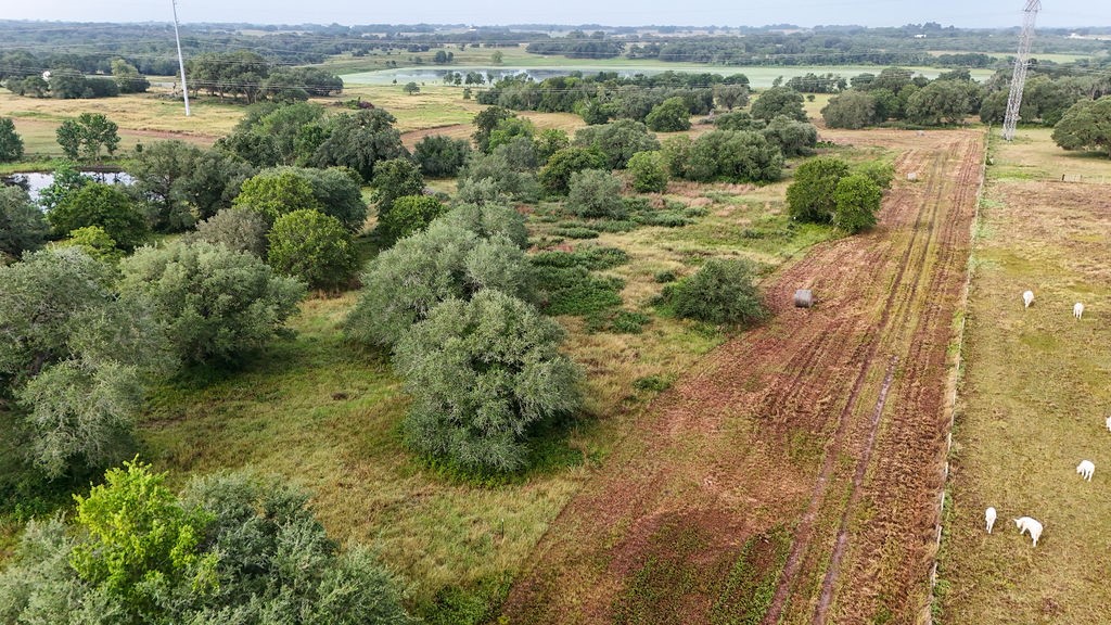 9365 Bauer Road Fayetteville, TX 78940 - Photo 14 of 16 a view of a outdoor space