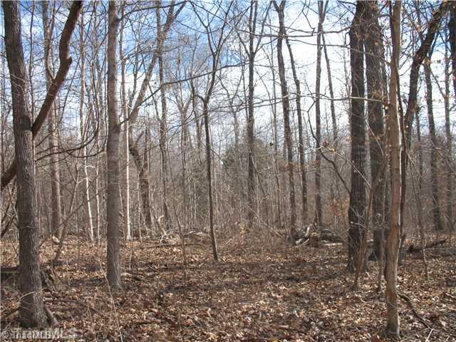 344 Edward Road Thomasville, NC 27360 - Photo 10 of 11 Exterior Front. Some land is wooded some is open fields