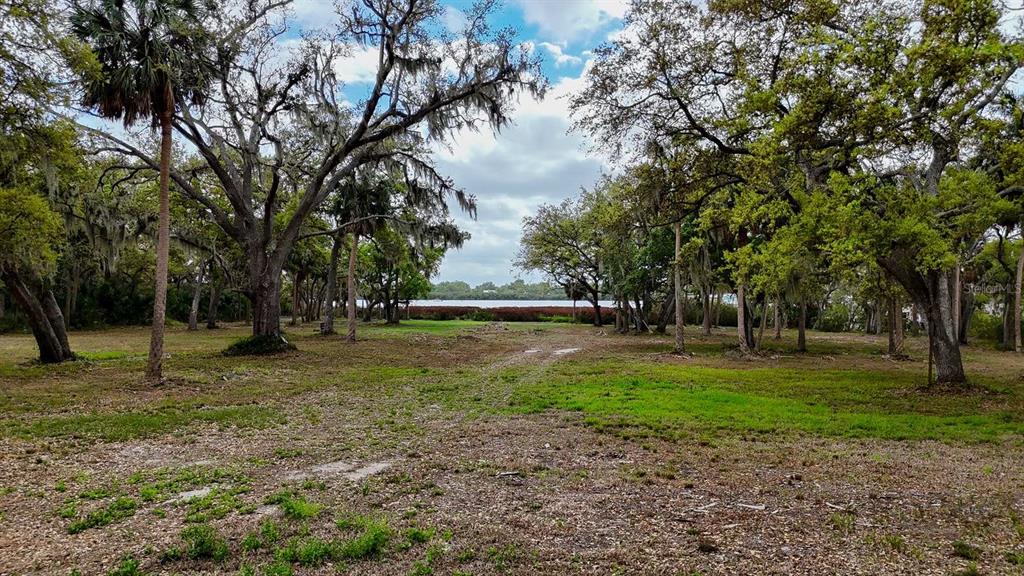 7013 Riverview Drive Riverview, FL 33578 - Photo 3 of 6