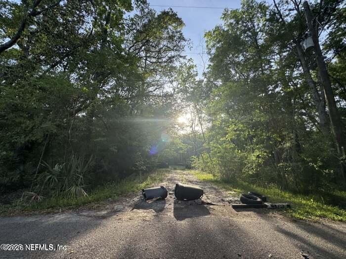 120 Monte Street Jacksonville, FL 32254 - Photo 2 of 3 a view of a yard with plants and trees