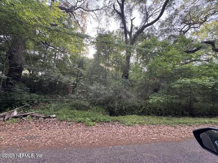 120 Monte Street Jacksonville, FL 32254 - Photo 3 of 3 a view of a yard with a tree