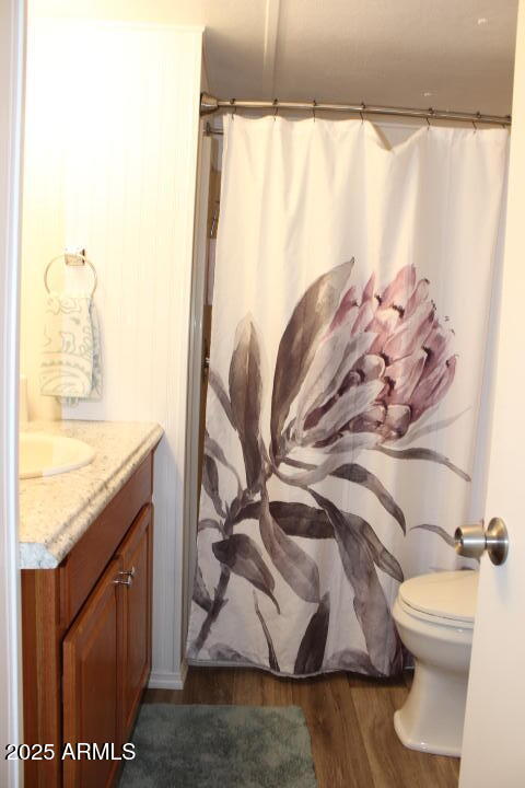 303 South Recker Road, Unit 223 Mesa, AZ 85206 - Photo 12 of 31 a bathroom with a granite countertop sink and a mirror