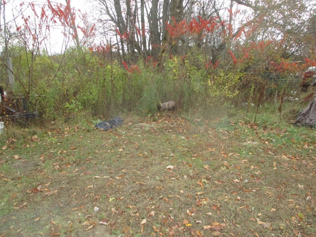 0 West River Road Johnson, VT 05656 - Photo 2 of 6 Gallery Image 2