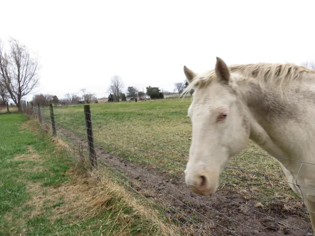 $529,000 | 1820 South County Road 850 East, New Castle, IN 47362