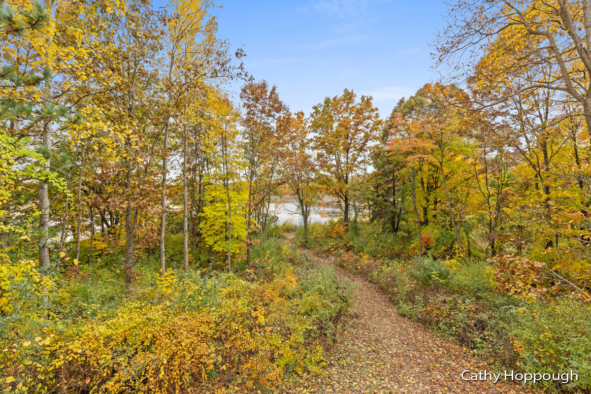 8901 Ranney Road Greenville, MI 48838 - Photo 19 of 36 IMG_1018