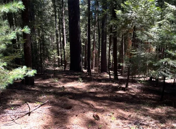 $56,000 | 14887 Hickok Court, Magalia, CA 95954