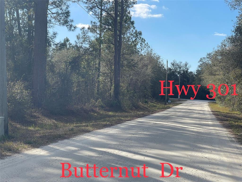 Butternut Drive Webster, FL 33597 - Photo 1 of 12