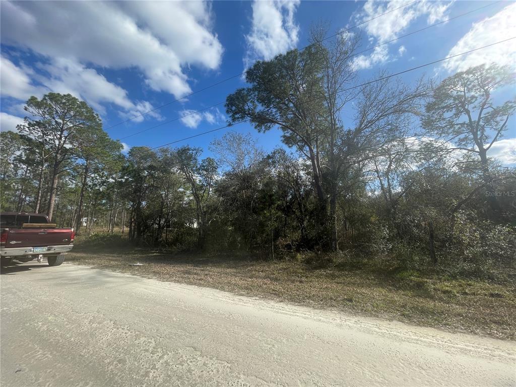 Butternut Drive Webster, FL 33597 - Photo 11 of 12