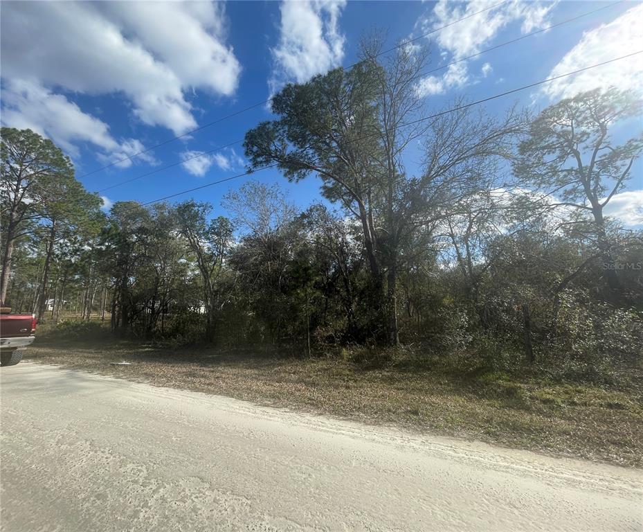 Butternut Drive Webster, FL 33597 - Photo 4 of 12