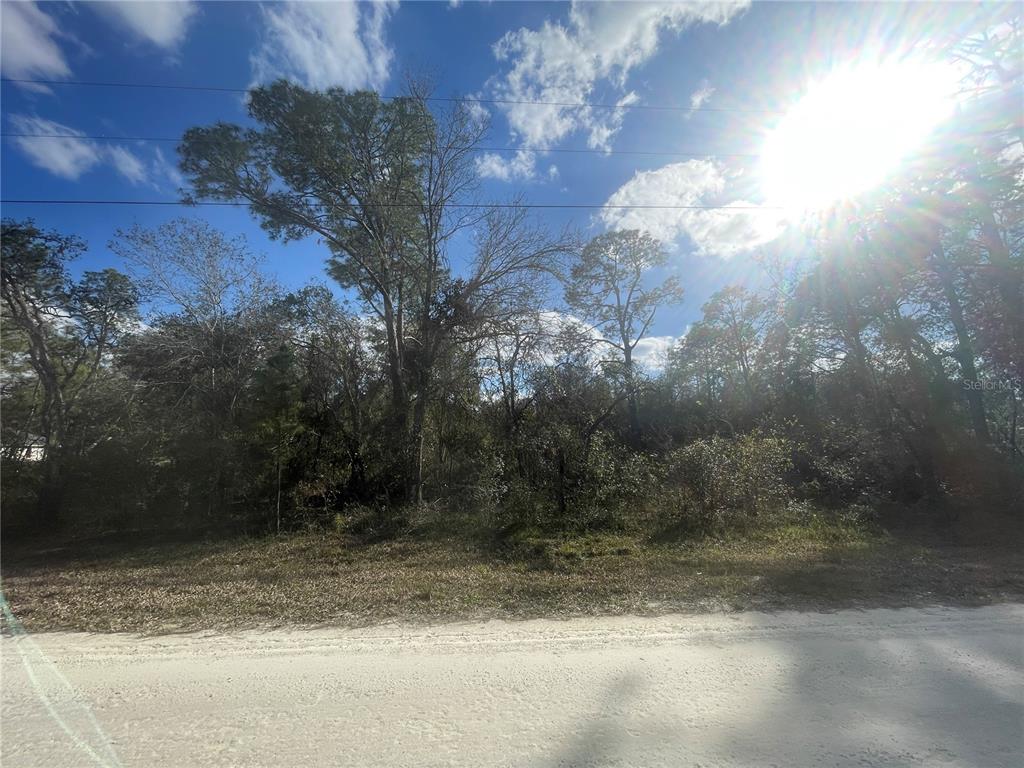 Butternut Drive Webster, FL 33597 - Photo 5 of 12