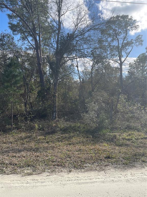 Butternut Drive Webster, FL 33597 - Photo 8 of 12