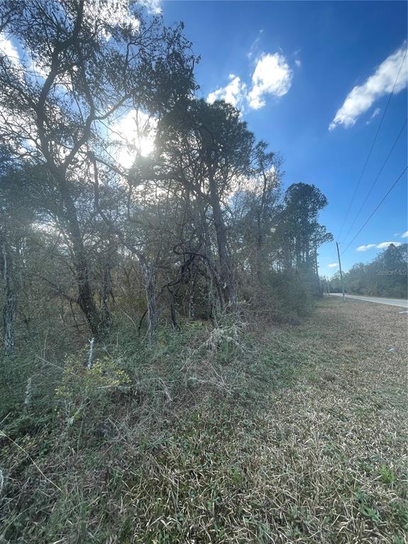 Butternut Drive Webster, FL 33597 - Photo 9 of 12