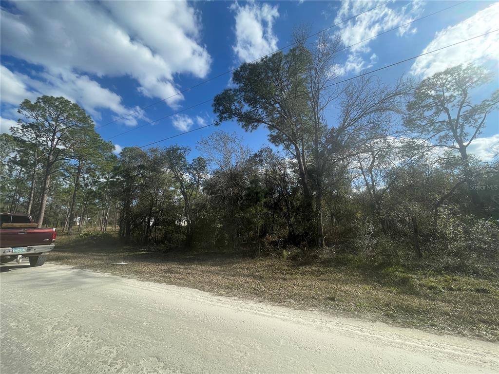 Butternut Drive Webster, FL 33597 - Photo 10 of 12