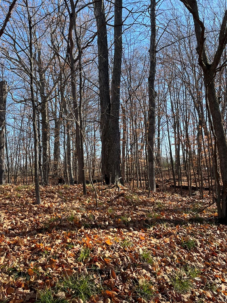South Highland Road Fish Creek, WI 54212 - Photo 6 of 10 Gallery Image 6