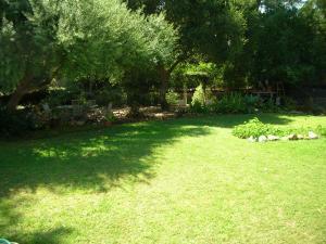 2923 Lomita Road Santa Barbara, CA 93105 - Photo 9 of 9 Backyard