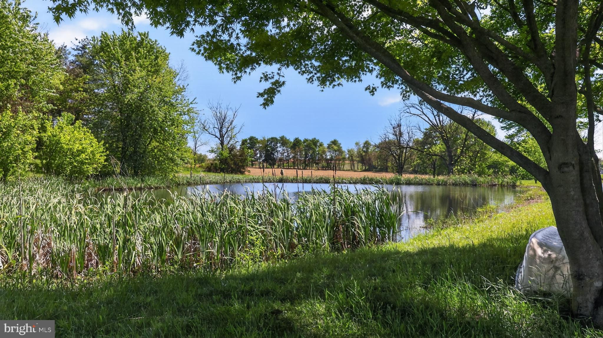 1599 Sanctuary Road Manheim, PA 17545 - Photo 54 of 66 Serene lakeside retreat in lush greenery.