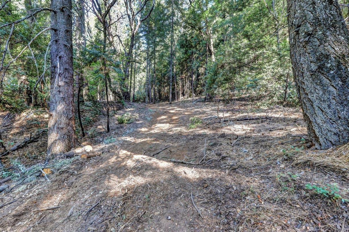 21678 Scotts Flat Road Nevada City, CA 95959 - Photo 11 of 17 a view of outdoor space and trees