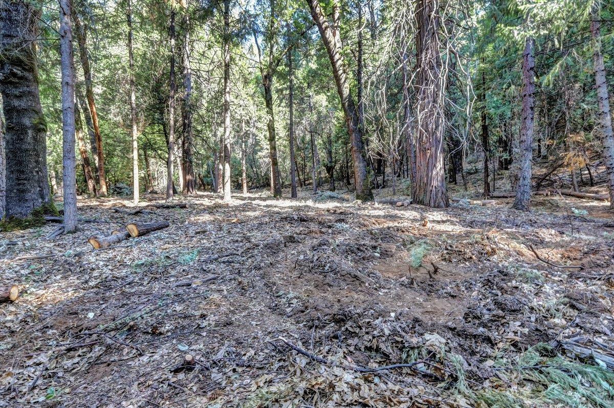 21678 Scotts Flat Road Nevada City, CA 95959 - Photo 13 of 17 a backyard of a house with lots of green space