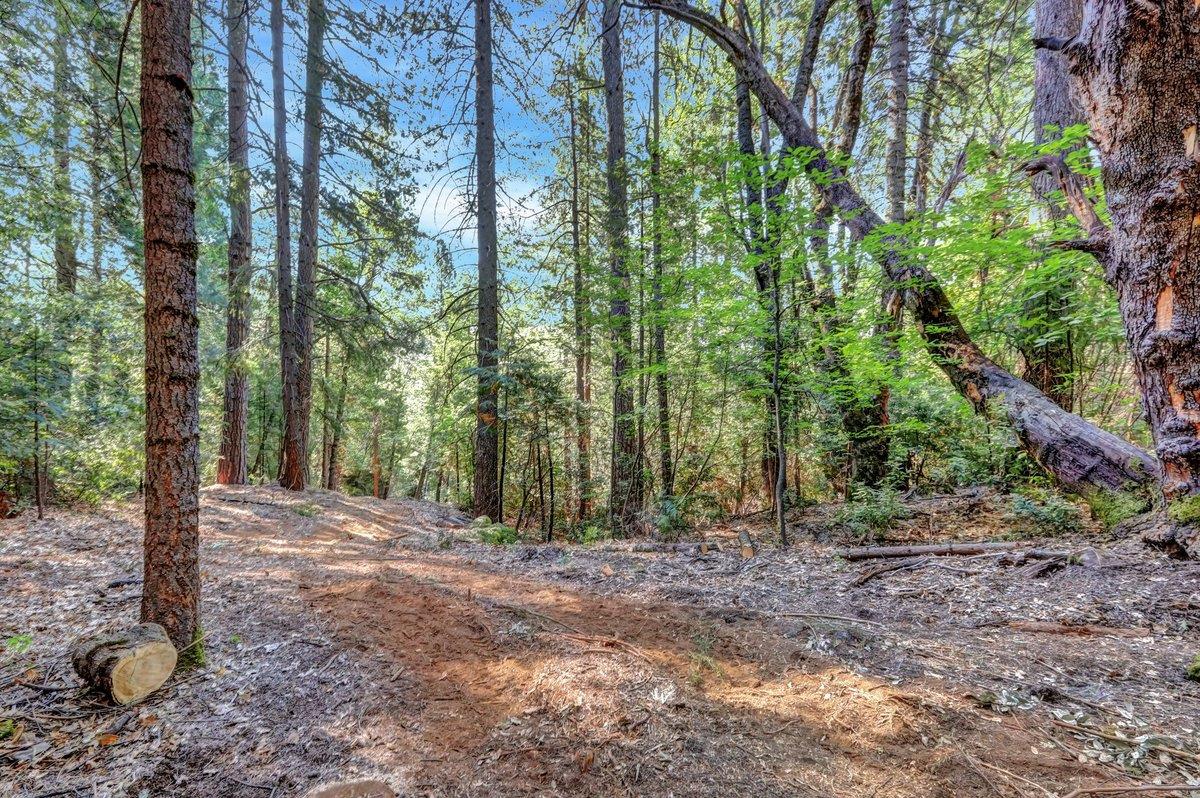 21678 Scotts Flat Road Nevada City, CA 95959 - Photo 14 of 17 a view of outdoor space and trees