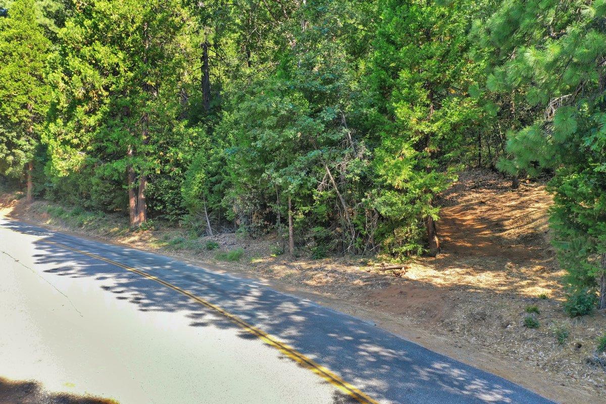 21678 Scotts Flat Road Nevada City, CA 95959 - Photo 2 of 17 a view of a yard with a tree