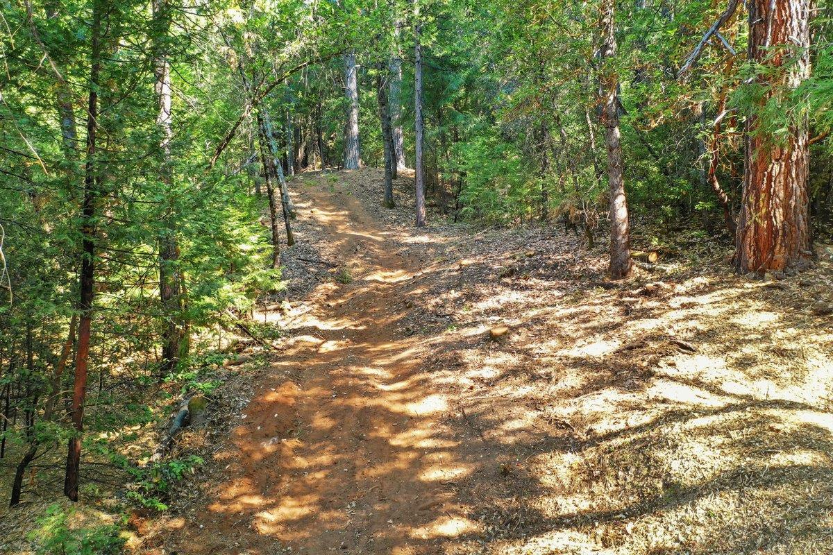 21678 Scotts Flat Road Nevada City, CA 95959 - Photo 3 of 17 a view of outdoor space and trees