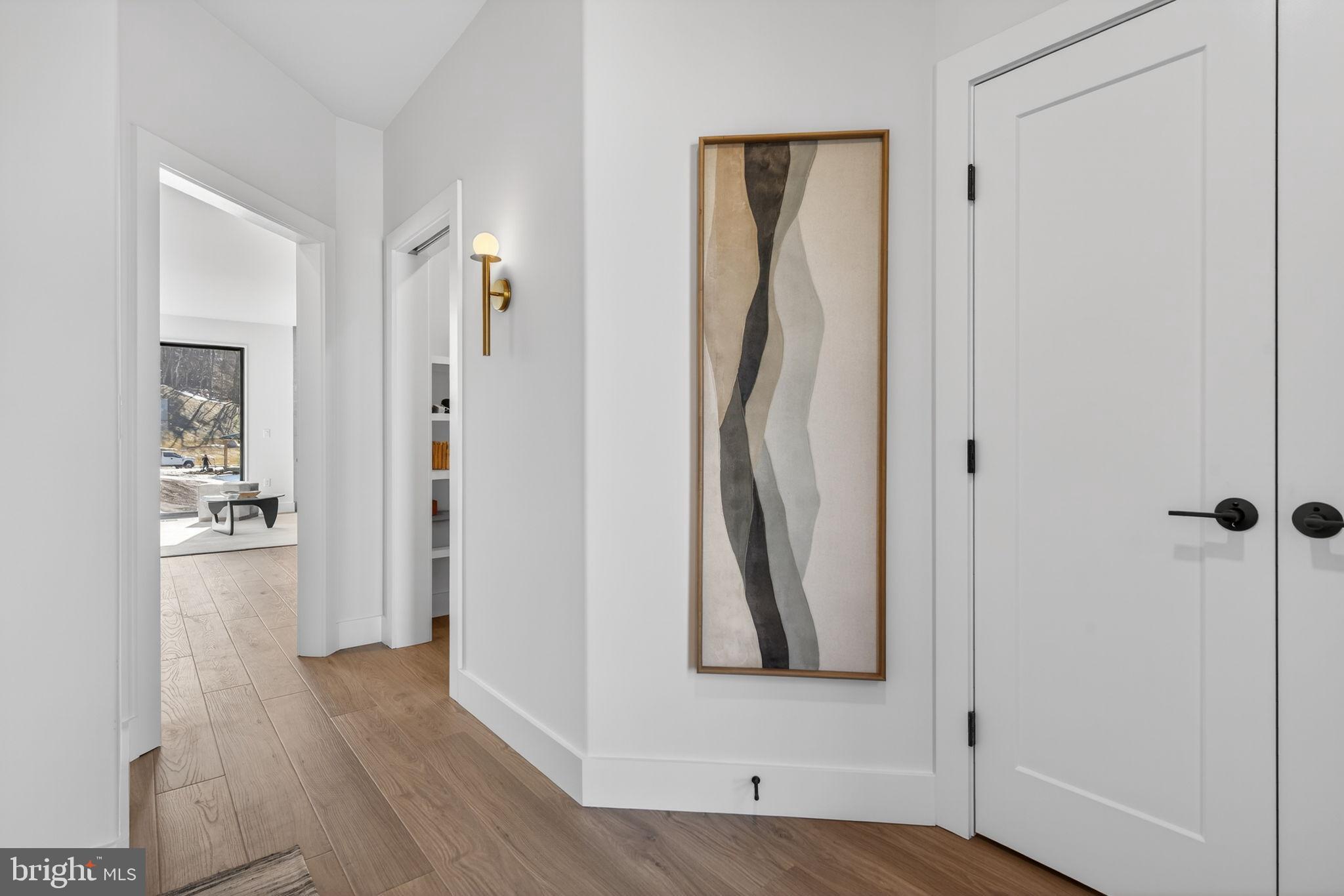 Anvil Model Lot #9 Anvil Model, Unit 9 Womelsdorf, PA 19567 - Photo 37 of 68 Modern hallway with artistic flair.