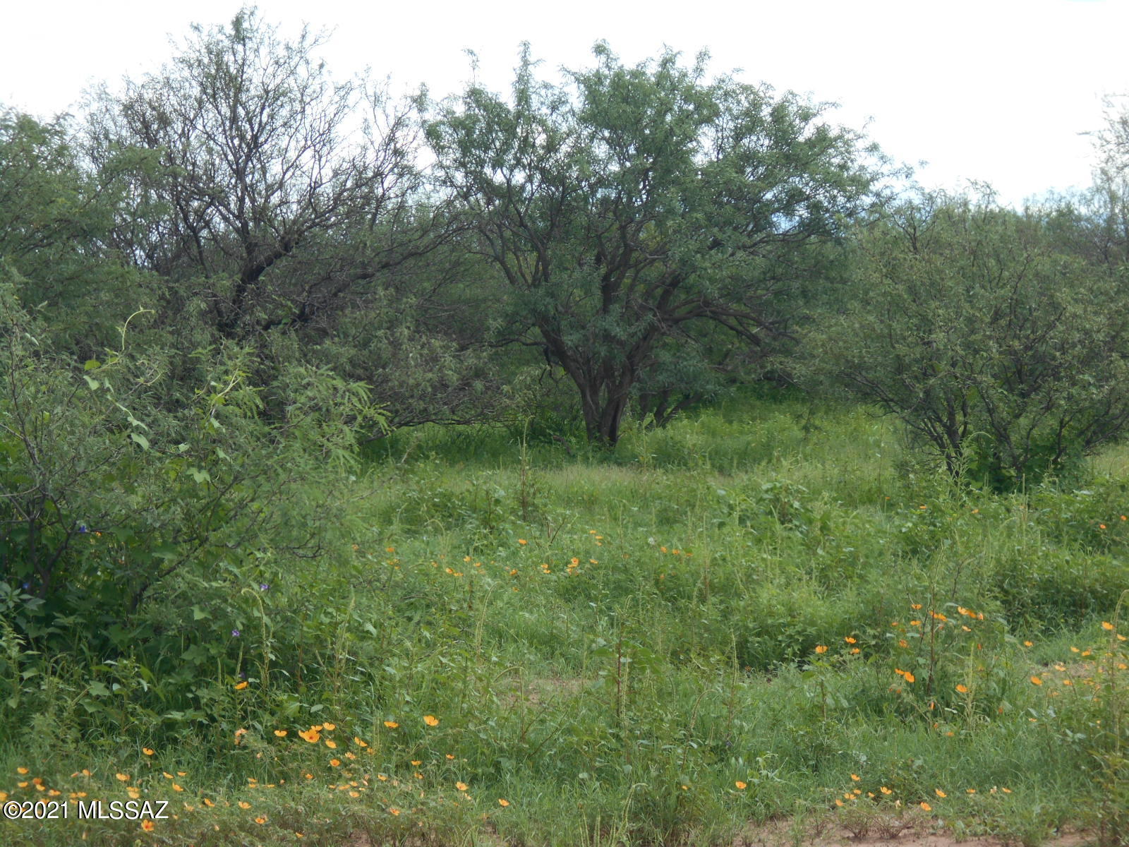 7298 North Frontier Road McNeal, AZ 85617 - Photo 13 of 40 Gallery Image 13