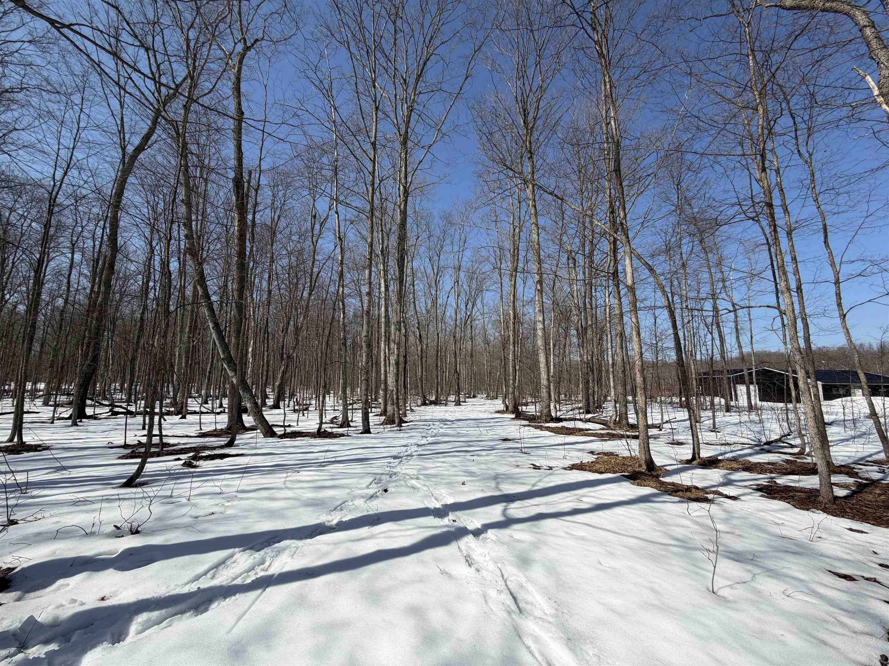 South Drew Road Empire, MI 49630 - Photo 27 of 28 Gallery Image 27