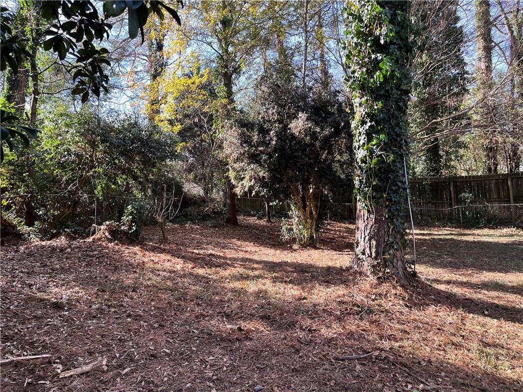 2078 Glenroy Drive Smyrna, GA 30080 - Photo 3 of 27