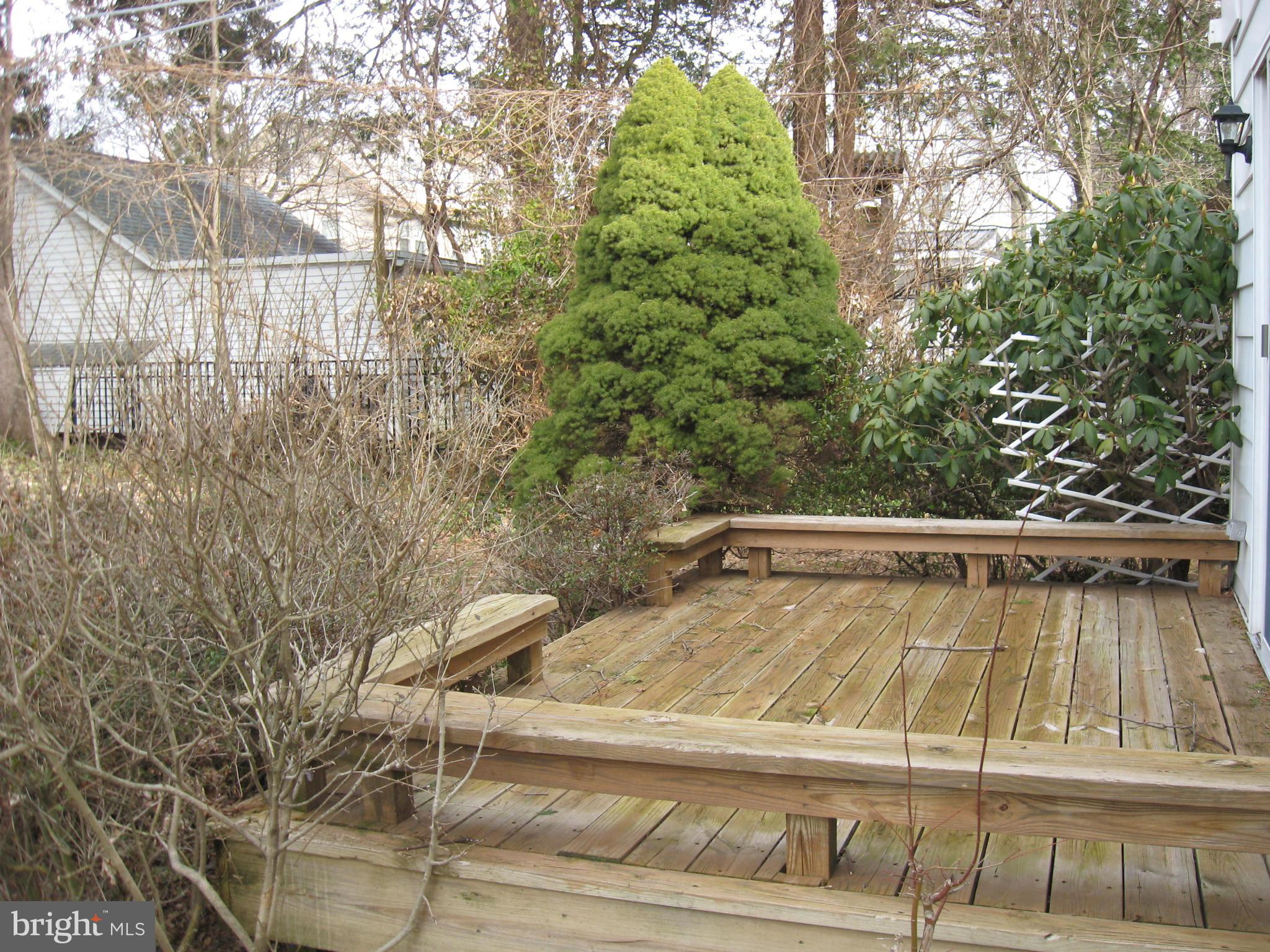 412 Walnut Place Havertown, PA 19083 - Photo 11 of 13 Gallery Image 11