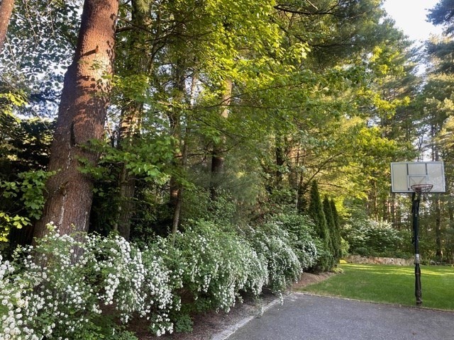 279 Hudson Road Sudbury, MA 01776 - Photo 39 of 42 Gallery Image 39