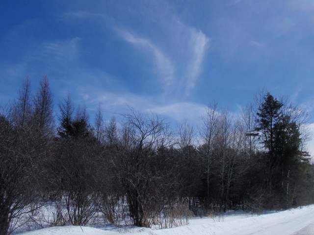 Near Adams Road Eagle River, WI 54521 - Photo 27 of 37 Gallery Image 27