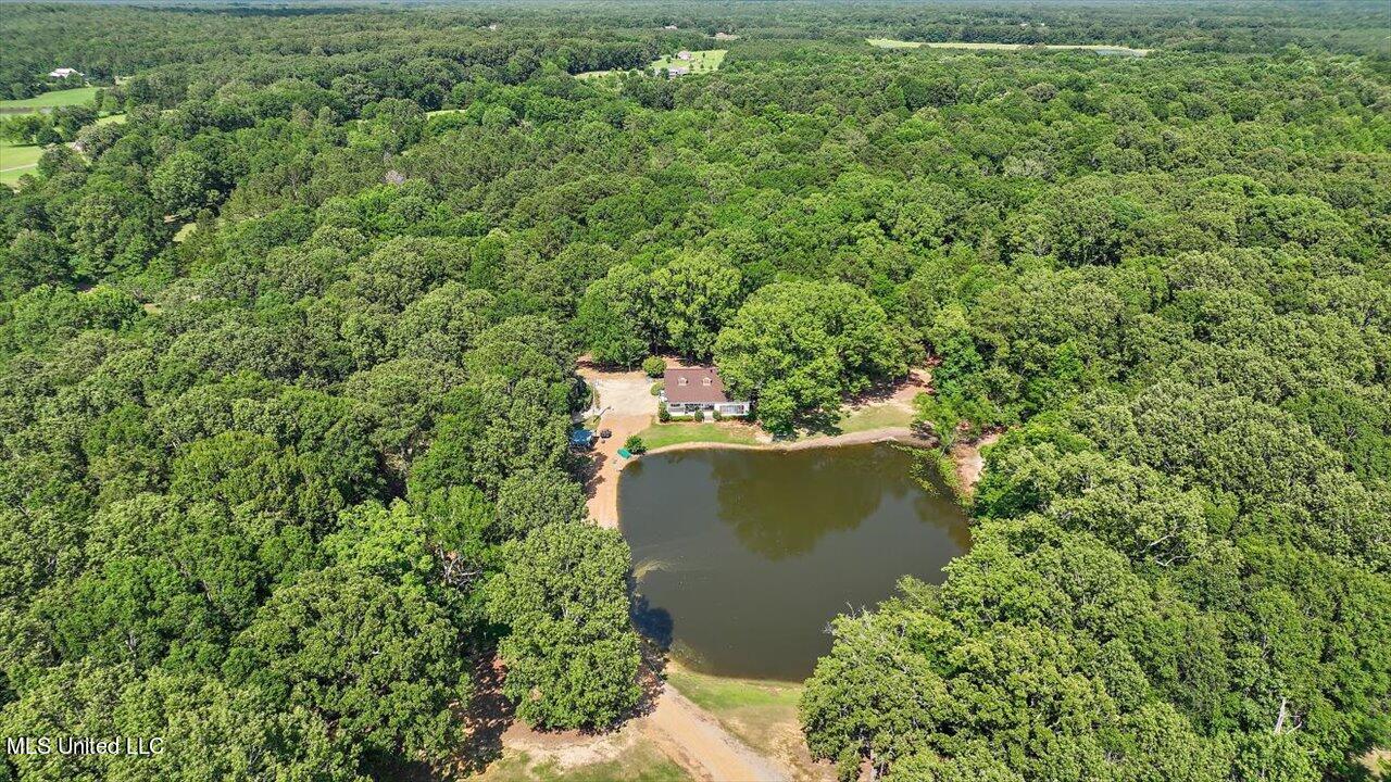 2580 Lebanon Pinegrove Road Utica, MS 39175 - Photo 56 of 66 55-2580 Lebanon Pinegrove Rd