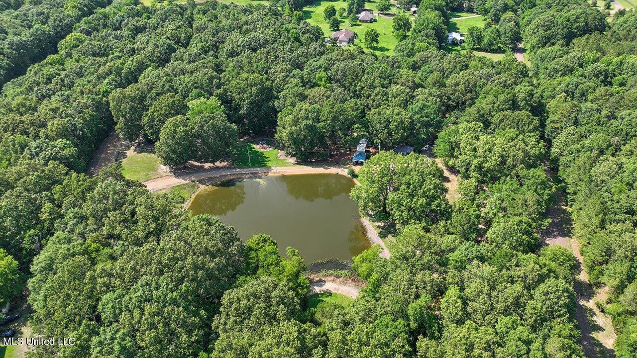 2580 Lebanon Pinegrove Road Utica, MS 39175 - Photo 58 of 66 57-2580 Lebanon Pinegrove Rd