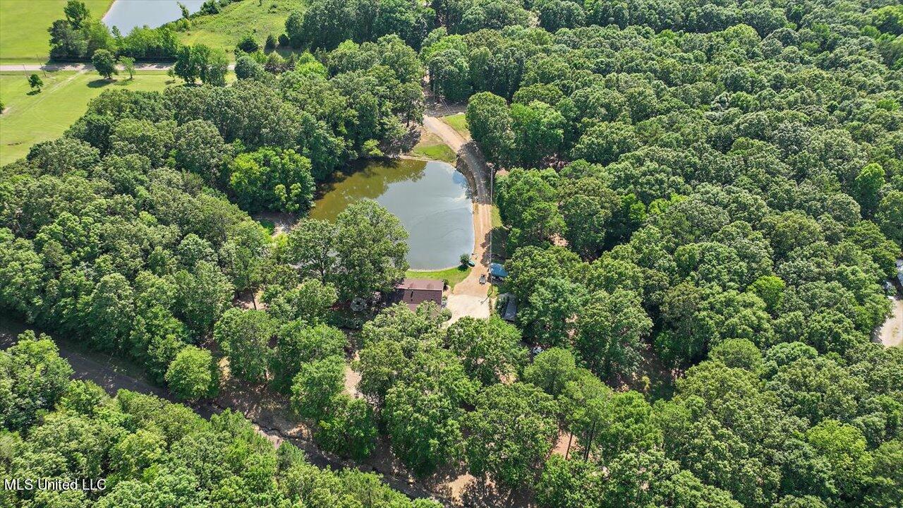 2580 Lebanon Pinegrove Road Utica, MS 39175 - Photo 60 of 66 59-2580 Lebanon Pinegrove Rd