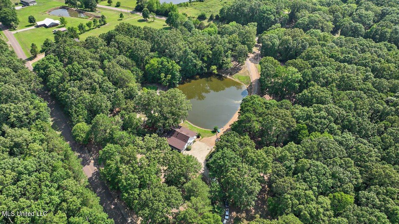2580 Lebanon Pinegrove Road Utica, MS 39175 - Photo 61 of 66 60-2580 Lebanon Pinegrove Rd