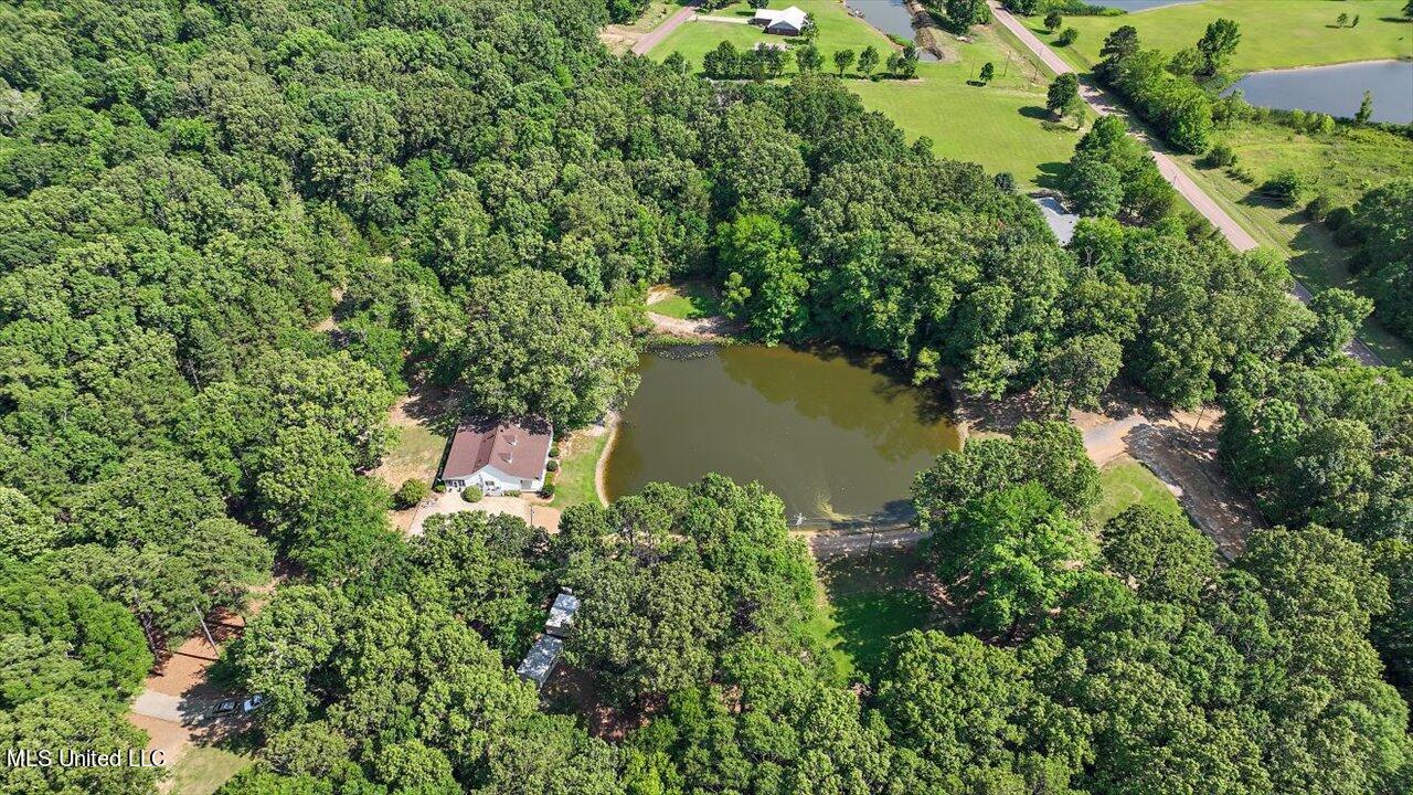 2580 Lebanon Pinegrove Road Utica, MS 39175 - Photo 62 of 66 61-2580 Lebanon Pinegrove Rd
