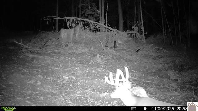 0 Highland Road Murray, KY 42071 - Photo 14 of 23 136772-777cf1c9-9dea-48eb-8665-a689df46e