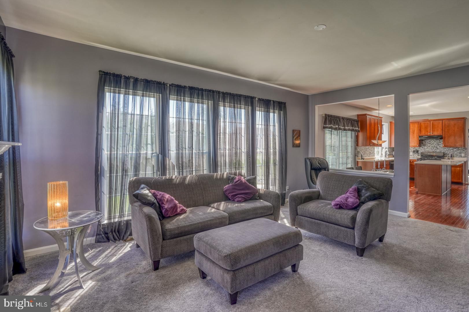 11 Newgate Circle Smyrna, DE 19977 - Photo 24 of 53 Family Room